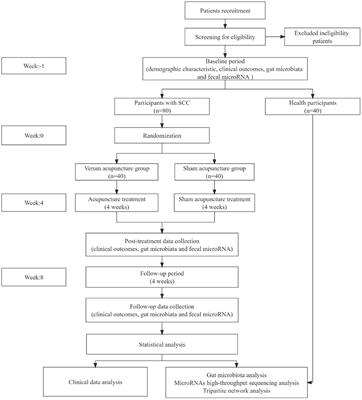Efficacy and MicroRNA-Gut Microbiota Regulatory Mechanisms of Acupuncture for Severe Chronic Constipation: Study Protocol for a Randomized Controlled Trial